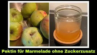 Apfelpektin aus Apfelschalen - zuckerfreies Geliermittel selber machen | unreife &Auml;pfel verwerten
