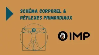 Le schéma corporel et les réflexes primordiaux, une clé pour tous les professionnels