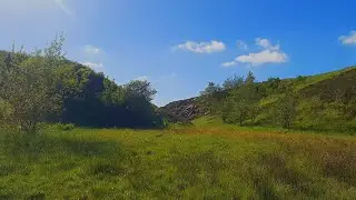Yorkshire Nature Sounds: Binaural Birds & Bees/3 Hour Audio/4K/Dark Screen