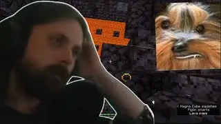 Peppah almost appears on Forsen's Stream  + Distracts him