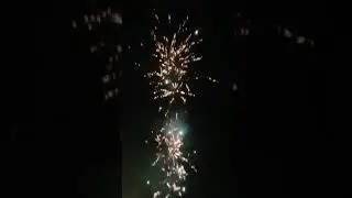 Firework 500G Cat Vision