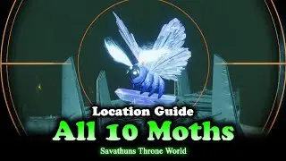 All Moth Locations in Savathuns Throne World (Destiny 2) [Witchqueen]