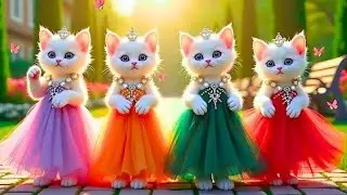 बिल्ली डांस | Cutest Cat videos funny dance🤣💃Videos for cats #funny #dancingcat