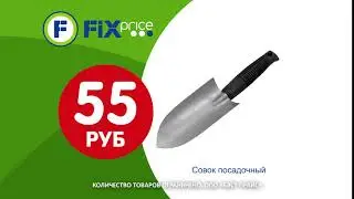 Коллекция 