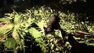 Far Cry Primal rare black jaguar location