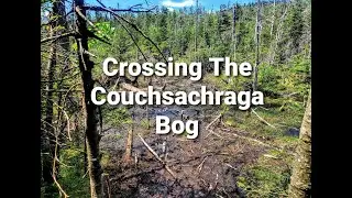 The Couchsachraga Bog   |   Adirondack Hiking