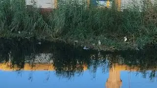 لايف من بيت جدتي الله يرحمها
