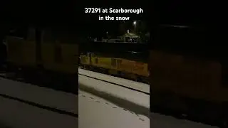 37291 Scarborough #class37 #railway #trainspotting #francisbourgois #freighttrain #nerd #trains
