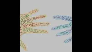 BONUS | Dharma in Action: Political Divide