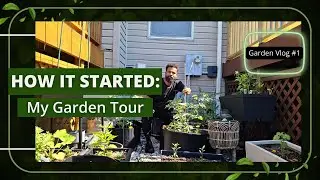 Garden Tour | Tomatoes, Peppers, Okra & Herbs in Containers 🌱 My Container Gardening Setup