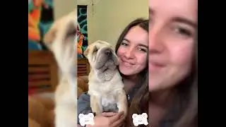 2026 Must-Watch Crazy Clips Compilation #humor #fypシ #pov #fyp #foryou