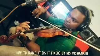 How to name it | Is it fixed | Ilaiyaraaja | M S Viswanath | Violin Cover | Western