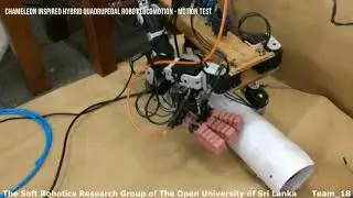 Testing of the Robot Locomotion