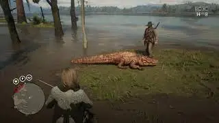 The legendary sun gator is not feeling good ...|Red Dead Redemption 2