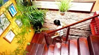 Geographer Cafe at Jonker Street, Malacca