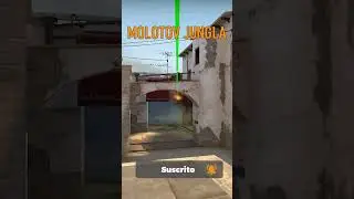 MOLOTOV JUNGLA | MIRAGE | CSGO | (64 ticks)