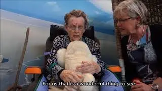 Een dag met Edo, de interactieve zeehond