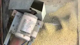 Unloading the grain bin and chopping stalks - Sunday afternoon