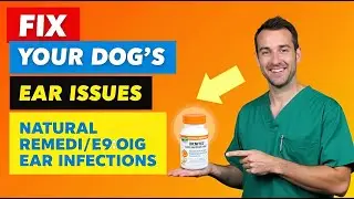 New Study Reveals Natural Treatment for Dog Ear