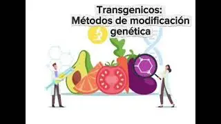 TRANSGENICOS: M&eacute;todos de modificaci&oacute;n gen&eacute;tica 