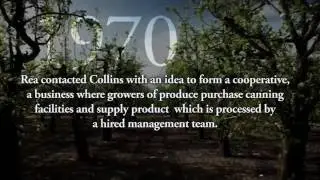 History of PCP
