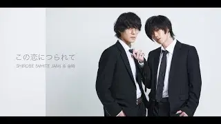 この恋につられて - SHIROSE(WHITE JAM) & 金時