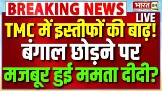 Mamata Banerjee Resign? | TMC Politician Resign | West Bengal | Mahua Moitra | CM Mamata | ED Raid