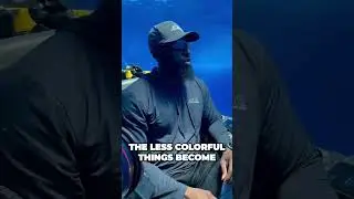 Discover the Astonishing Change in Colors Underwater