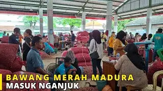 Bawang Merah dari Madura Menyerbu Nganjuk Boss