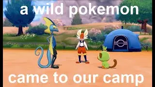 pokemon camp but it's goh's current team