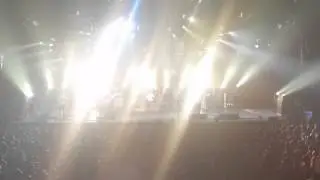 Don haskins center cage the elephant