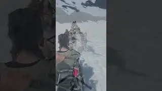 Alaska - Dog Sledge