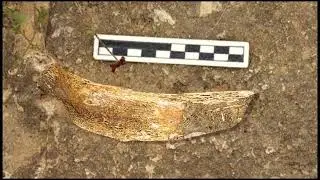 El estrecho de Bolvonegro Moratalla   Murcia