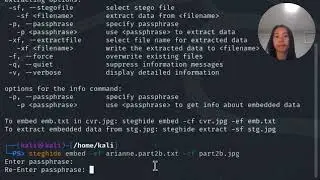 Cyber Security - How to Use Steghide on Kali Linux