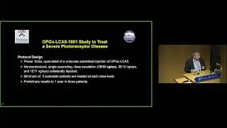 Vision Science Symposium 2025: Tomas Aleman, MD Presents Recovery of Cone Mediated Vision