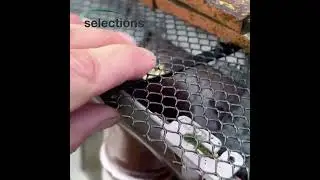 6 Metres Gutter Protection Mesh Guard with 15 Fixing Clips #gutterguards #gutterprotection