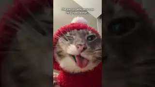 The person who sent you this video either...