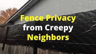 Privacy Fence Ideas