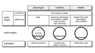 DEEP PULSE (SUBMERGED, SINKING PULSE, CHEN MAI)