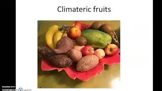 Fruit Ripening