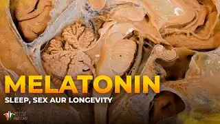 Melatonin ki power