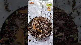 Salem Very Famous Vs Selvam Home made Karimasala 🍱 | Salem Page | #salem #food #karimasala