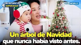 [ESP SUB] Ese es el &aacute;rbol de Navidad🎄 [ERDS ep.602] | KBS WORLD TV 260104