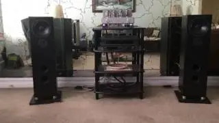 Line Magnetic and Tekton speakers