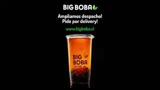 Big Boba delivery www.bigboba.cl