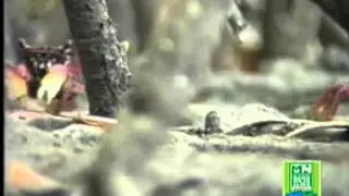 Expedi&ccedil;&atilde;o FMNA 04