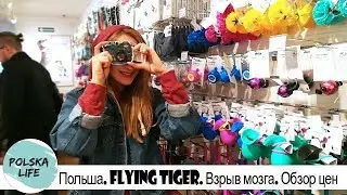 Польша// Flying Tiger// Взрыв мозга// Обзор цен