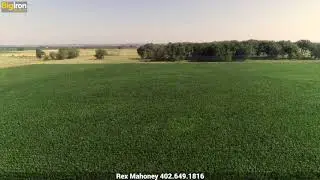 318.62+/-  Acres Merrick County, Nebraska - Unreserved Online Land Auction - BigIron Realty - SOLD