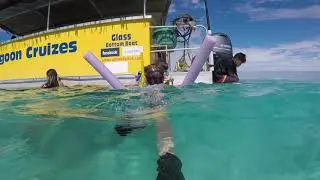 Captain Tamas- Steel Diving