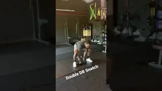 Double Dumbbell Snatch